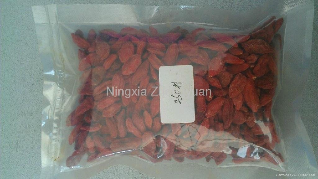 Dried Goji berry from Ningxia Zhengyuan，250
