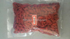 Dried Goji berry from Ningxia