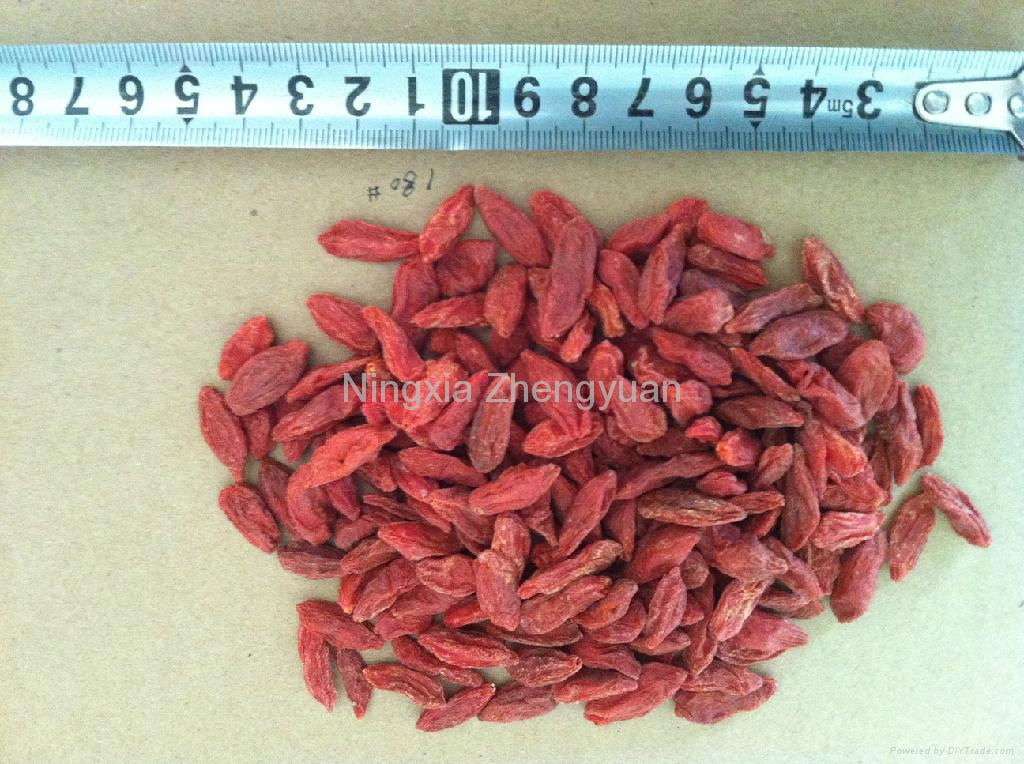 Dried Goji berry from Ningxia Zhengyuan，180