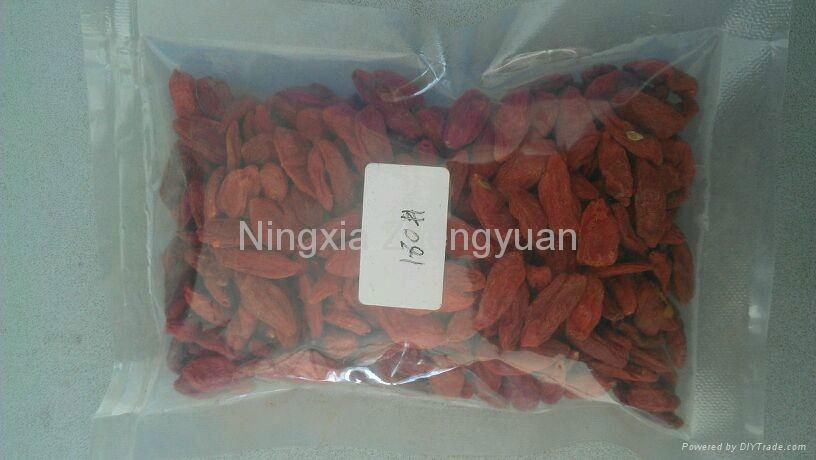 Dried Goji berry from Ningxia Zhengyuan，180 2