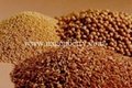 Coarse Grains from Ningxia, China 3