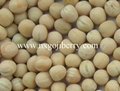 Coarse Grains from Ningxia, China 5