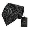 2014 Fashion paisley  Silk Neckties 1