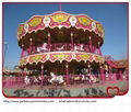 amusement rides carousel 5