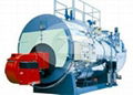 4 ton gas fired hot water boiler