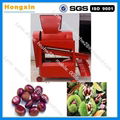 Hazelnut peeling machine Hazelnut sheller 1