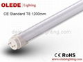 CE ROHS Certificated T8 1200mm LED Tube 