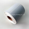 Silver Polyester labels  1