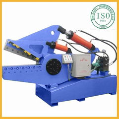  custom hydraulic shearing machine