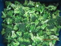 IQF Broccoli