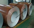 PPGI steel coils 1