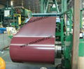 prepainted Galvanized Steel Coil 1