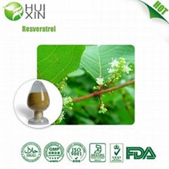 Resveratrol