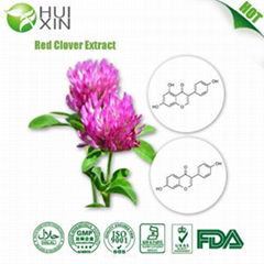 Red Clover P.E.