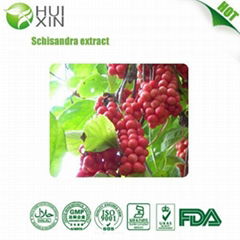 Schisandra Chinensis P.E