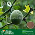 Citrus Bioflavonoids