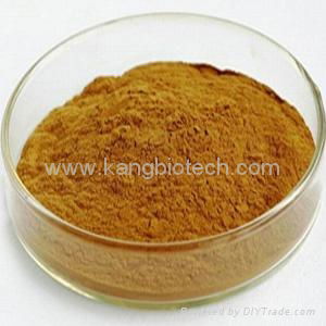 Tongkat Ali Extract 2