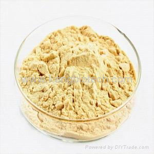 Luohanguo Extract 2