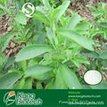 Stevia Extract Reb A