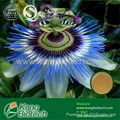 Passion flower extract