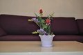 Lotus Decorative flowerpot,indoor planter