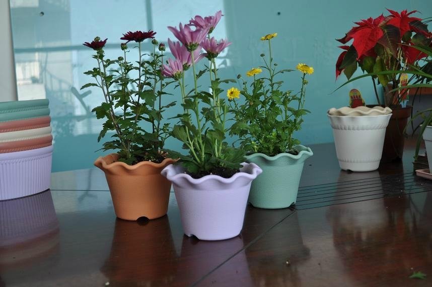 Lotus Decorative flowerpot,indoor planter 4