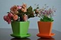 Highlight Flowerpot,small decorative planter