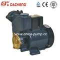 GP Series Water Pump (Self-Priming Peripheral Pump GP-125) 2