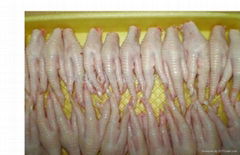 High Quality Processed Frozen Chicken Feet