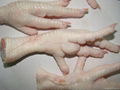 High Quality Processed Frozen Chicken Feet 3