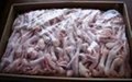 High Quality Grade A Processed Chicken Feet