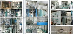 220Ton Steel Structure Wheat Flour