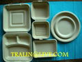 Paper Pulp Biodegradable disposable tableware 1