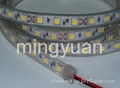 SMD5050 Waterproof LED Strip