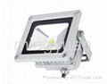 LED Flood Light