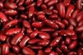 Export Broad White Kidney Dry Beans For