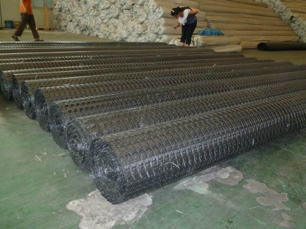 plastic/tensar geogrid 2