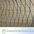 New Design Stainless Steel Wire Rope Mesh 1