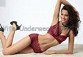 Women Underwear Bra Sets Bra & Brief Sets