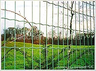 Dutch Woven Wire Fence 2
