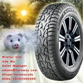 Triangle winter tire 3