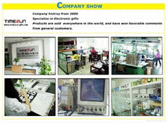 Shenzhen Timesun Electronic Co.,Ltd