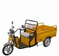 electric cargo tricycle