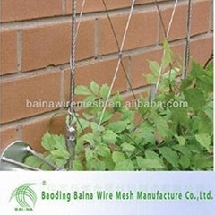Green wall stainless steel rope mesh