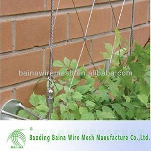 Green wall stainless steel rope mesh