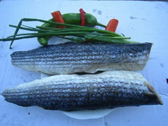 frozen grey mullet fillets without scale