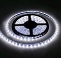 flexible light led strip  3