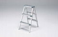 Aluminum Ladder