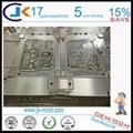 ISO9001 OEM Two Shot Mold
