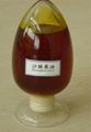  Seabuckthorn fruit Oil 2